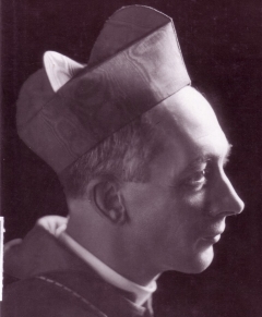 clicca per ingrandire