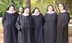 clicca per ingrandire