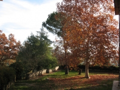 clicca per ingrandire