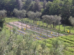 clicca per ingrandire